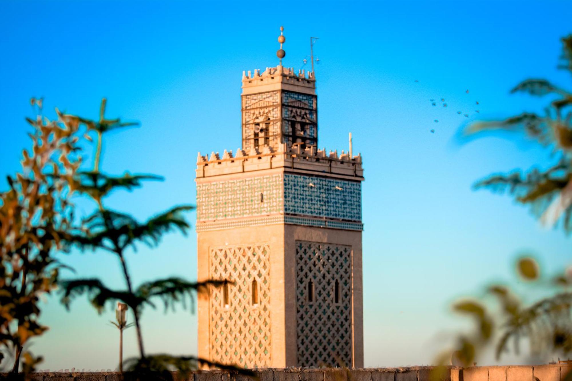 Riad Farasha *